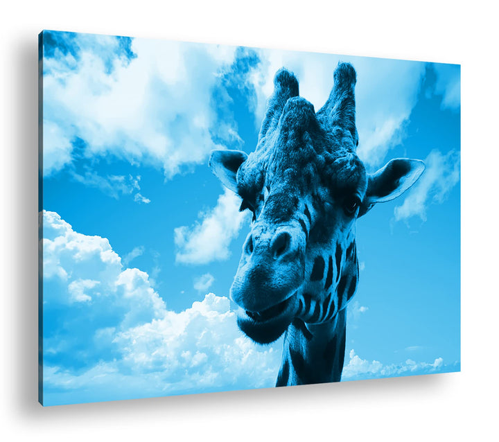 deyoli Fotogene Giraffe Format: 100x70 Effekt: Monocrome Blau als Leinwandbild, Motiv fertig gerahmt