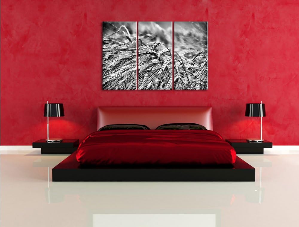 Pixxprint Goldene Getreide Ären als Leinwandbild | Grösse: 3 Teilig (120x80) | Wandbild| Kunstdruck