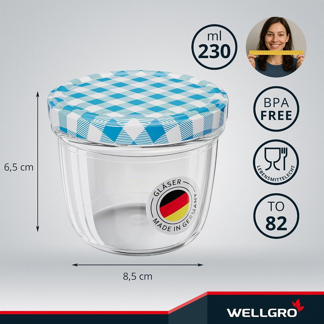 WELLGRO 12x Einmachgläser mit Schraubdeckel - 230 ml, 8,5 x 6,5 cm (ØxH), Glas/Metall, blau karierte