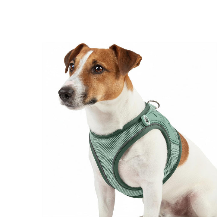 Max & Molly Hundegeschirr Matrix 2.0 Jade/XS als Air Vest Geschirr, Step-In Geschirr mit Gotcha! Sma