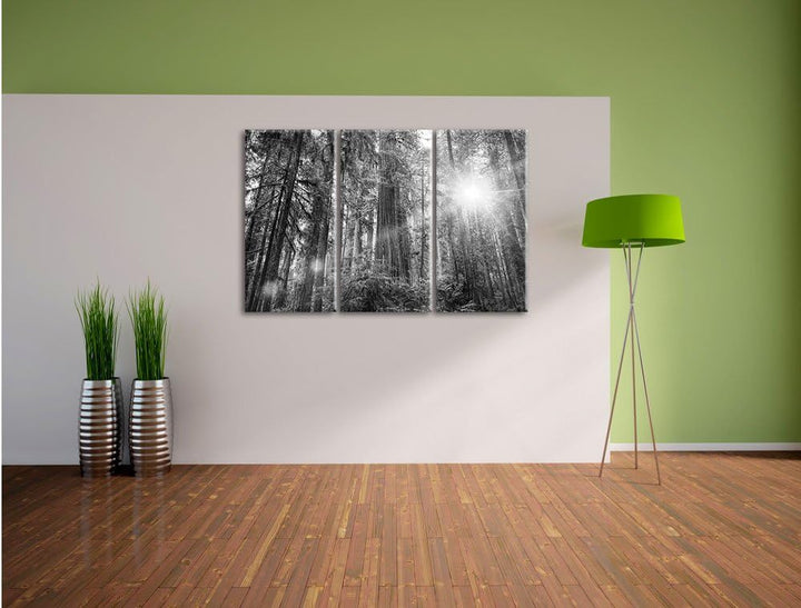 Pixxprint Wald bei Sonnenlicht / 3-Teilig/Gesamtmass 120cm Leinwandbild bespannt auf Holzrahmen/Wand