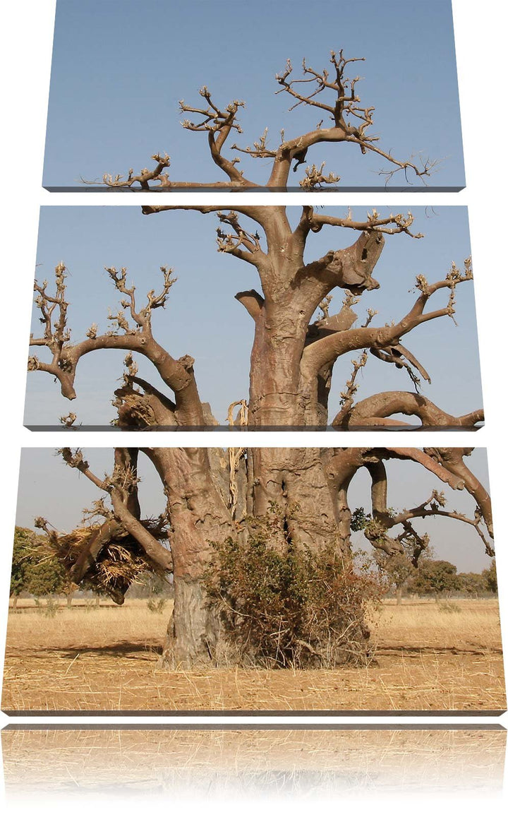 Pixxprint vertrockneter Baum in der Savanne als Leinwandbild/Grösse: 3 Teilig (120x80) cm/Wandbild/K