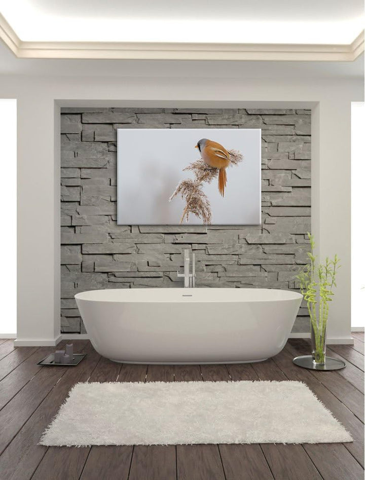 kleiner Vogel auf Weizen im Winter Leinwand, XXL riesige Bilder fertig gerahmt mit Keilrahmen, Kunst