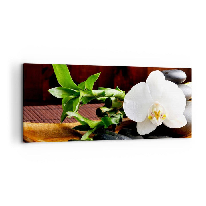 ARTTOR Wandbilder Dekoration Wohnzimmer Bambus Schönheit Dekoration Blume Bilder auf Leinwand 120x50
