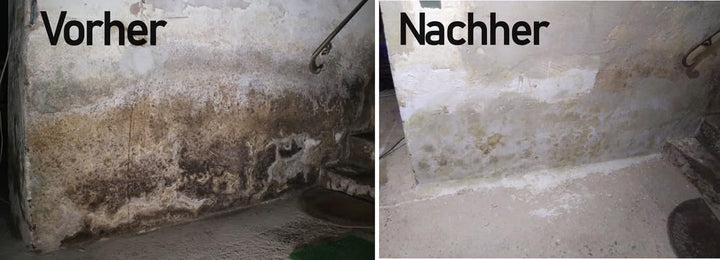 Horizontalsperre - Nachfüllkanister (25 L) - Verkieselungsmittel zur Mauerwerkstrockenlegung (€ 4,50