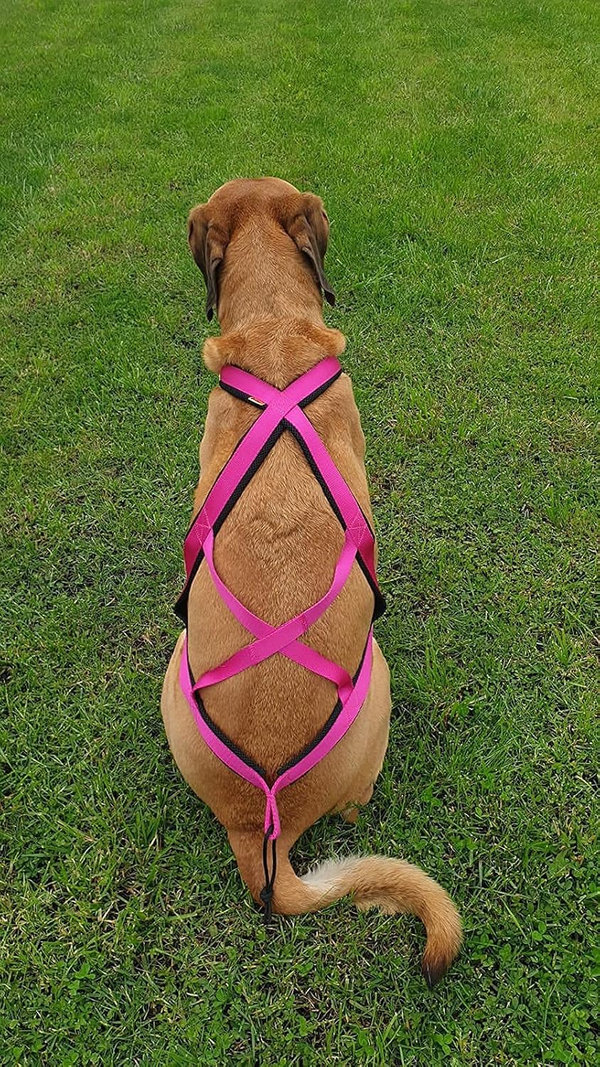 Dingo Hundegeschirre Sled Farbe Rosa Zuggeschirr Canicross Bike-Ski-Jöring Training Dogtrekking Gros