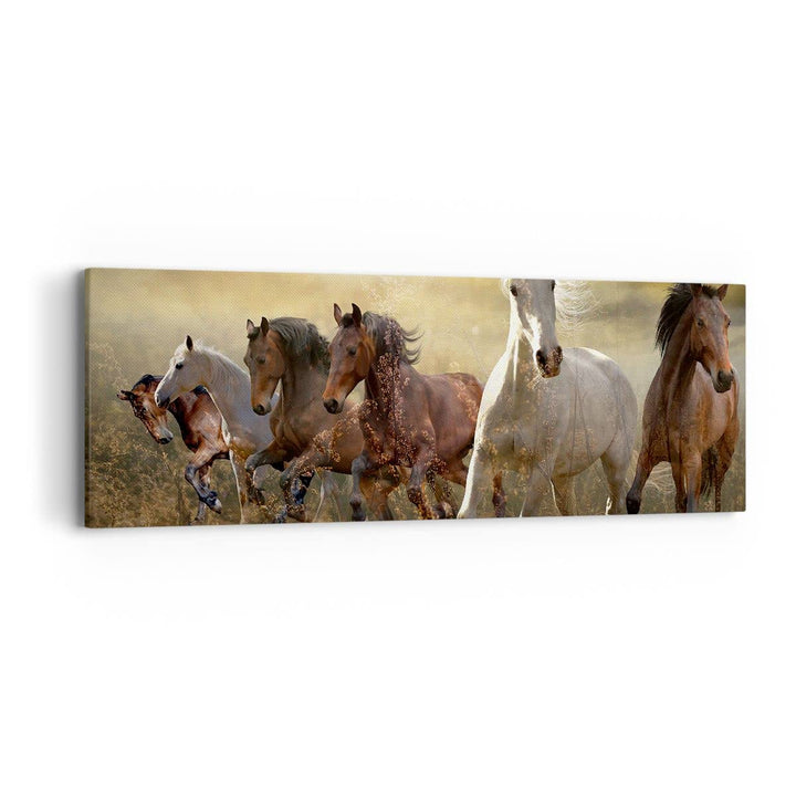 Panorama Bilder auf Leinwand Pferd Tier Natur Leinwandbild mit Rahmen 90x30cm Wandbilder Dekoration