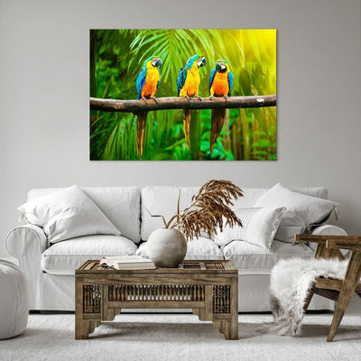 Bilder auf Leinwand 100x70cm Leinwandbild Papageien Collorful Natur Vögel Gross Wanddeko Bild Schlaf