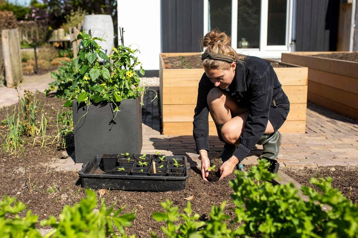 Capi Europe - Blumentopf quadratisch Smooth NL - 50x50 - Schwarz - Öffnung Ø42 - Blumentopf für den