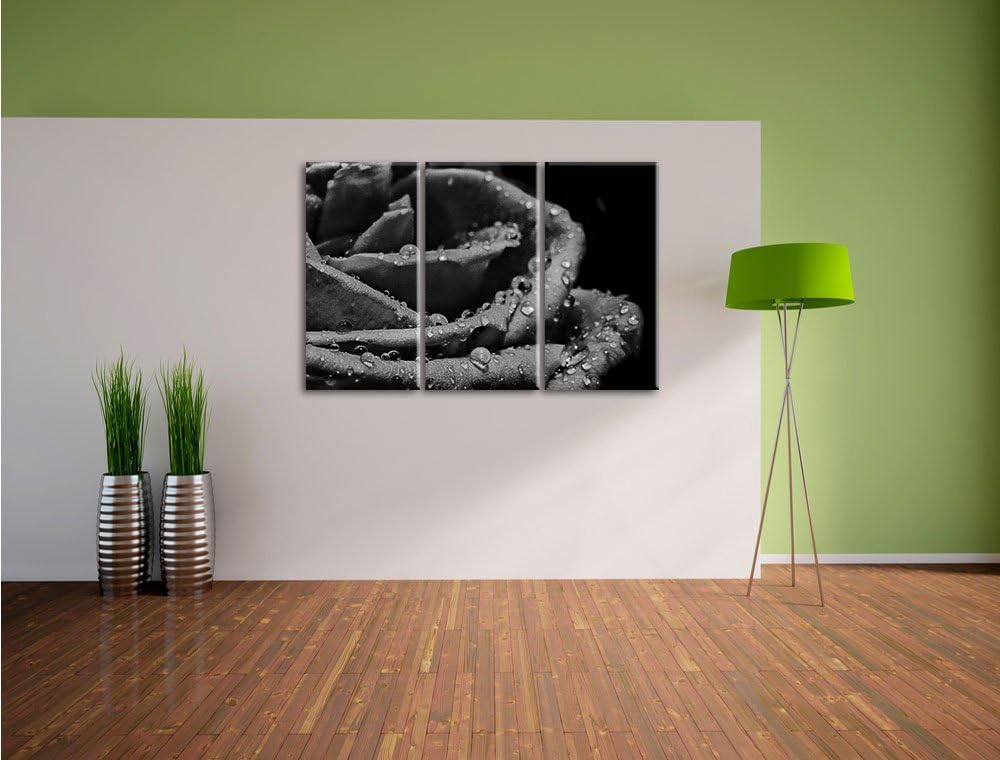 Pixxprint Tropfen auf roter Rose als Leinwandbild/Grösse: 3 Teilig (120x80) cm/Wandbild/Kunstdruck/f