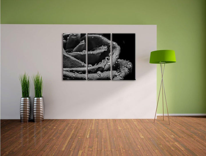 Pixxprint Tropfen auf roter Rose als Leinwandbild/Grösse: 3 Teilig (120x80) cm/Wandbild/Kunstdruck/f