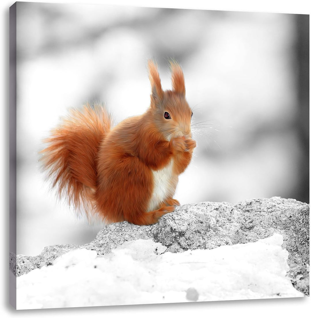 Pixxprint Eichhörnchen in verschneitem Wald als Leinwandbild/Grösse: 70x70 cm/Wandbild/Kunstdruck/fe