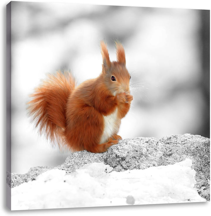 Pixxprint Eichhörnchen in verschneitem Wald als Leinwandbild/Grösse: 70x70 cm/Wandbild/Kunstdruck/fe