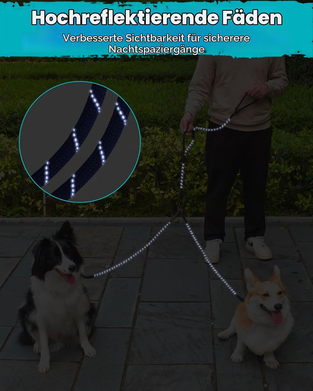 PetBonus Hundeleine Doppelleine für 2 Hunde, Keine Verwicklung Trainingsleine mit Zwei Gepolsterten