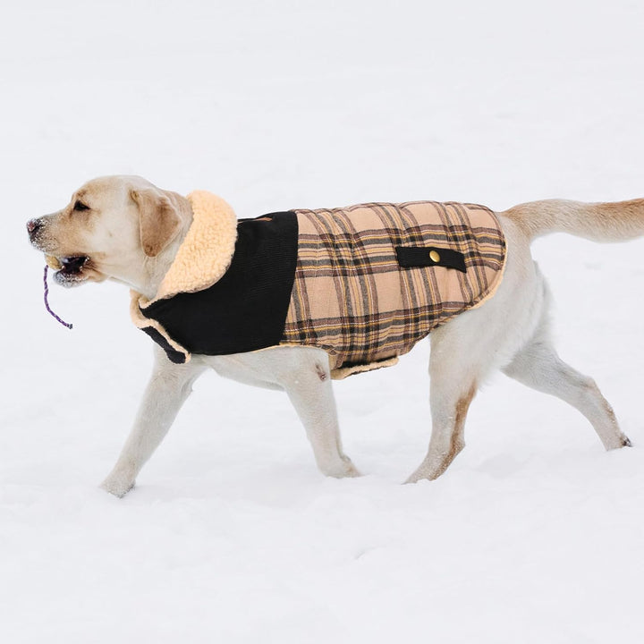 CITÉTOILE Warme Hundemantel Fleece, Wintermantel Winterjacken für Kleine/Grosse/Mittlere Hunde, Hund
