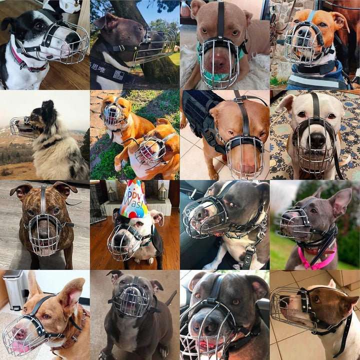 BRONZEDOG Pitbull Maulkorb für Hunde, atmungsaktiv, Metallkorb für grosse Hunde, Amstaff Staffordshi