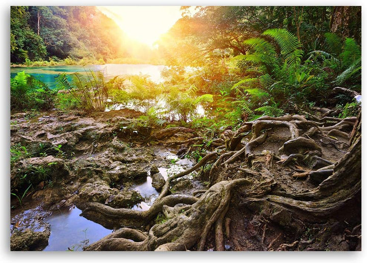 Wandbild Natur Modern Deko Kunst Bilder für Wohnzimmer Gelb 90x60 cm