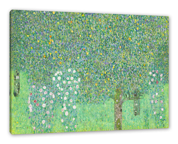 Gustav Klimt - Rosen unter Bäumen als Leinwandbild / Grösse: 100x70 cm / Wandbild / Kunstdruck / fer