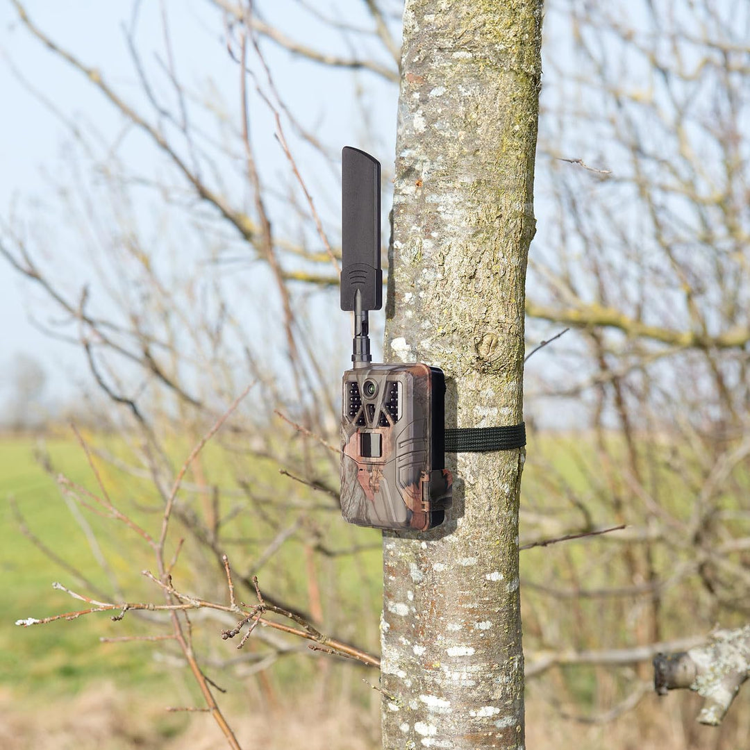 VisorTech Wildkamera mit SIM Karte: 4G/LTE-Akku-Wildkamera mit 2K-Auflösung, PIR-Sensor, Nachtsicht,