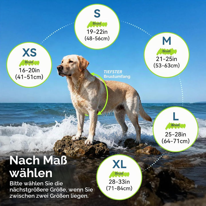 VIVAGLORY Hunde Schwimmweste High Buoyancy Hundeschwimmweste, S, Rot | Rettungswesten Hunde-Schwimmw