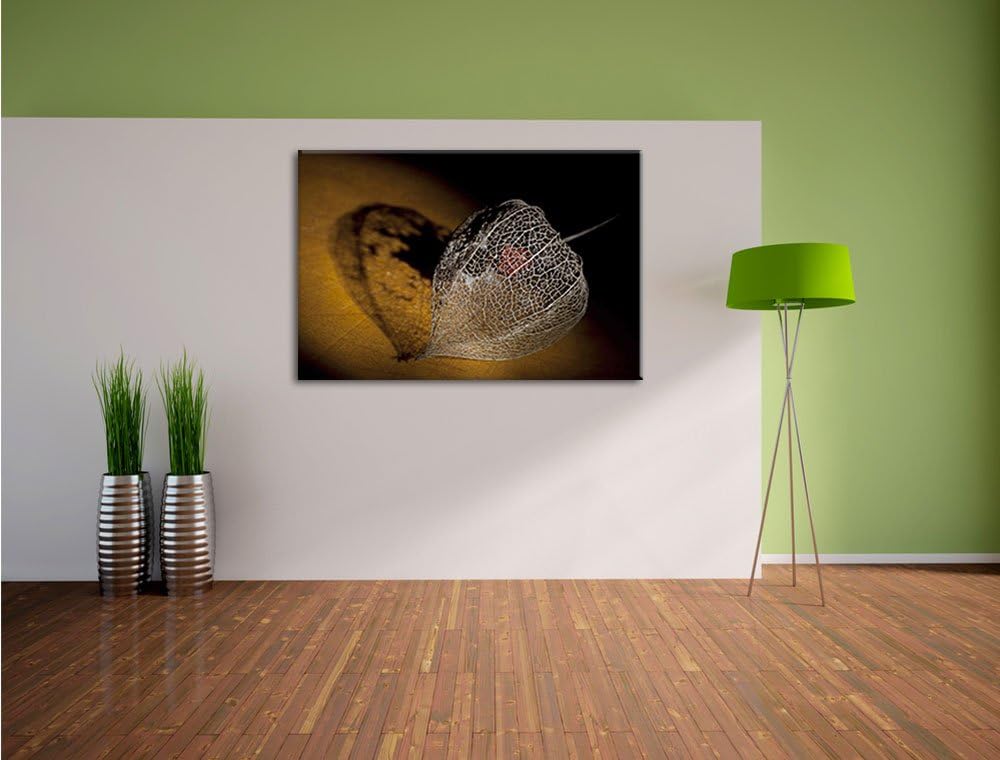 Schatten einer Physalis, Format: 100x70 auf Leinwand, XXL riesige Bilder fertig gerahmt mit Keilrahm