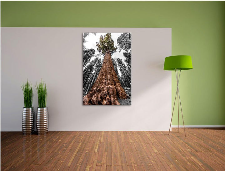 Wald Riesenbaum Regenwald Nebel schwarz/weiss Format: 100x70 auf Leinwand, XXL riesige Bilder fertig