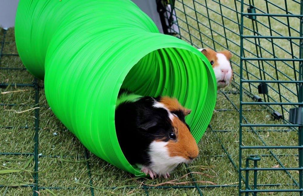 Snuggle Safe Flexibler Allwetter-Kaninchengehege-Tunnel 1 grün, 1 grün