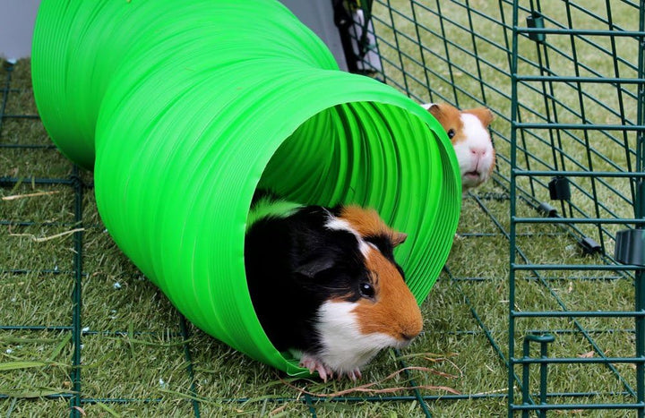 Snuggle Safe Flexibler Allwetter-Kaninchengehege-Tunnel 1 grün, 1 grün