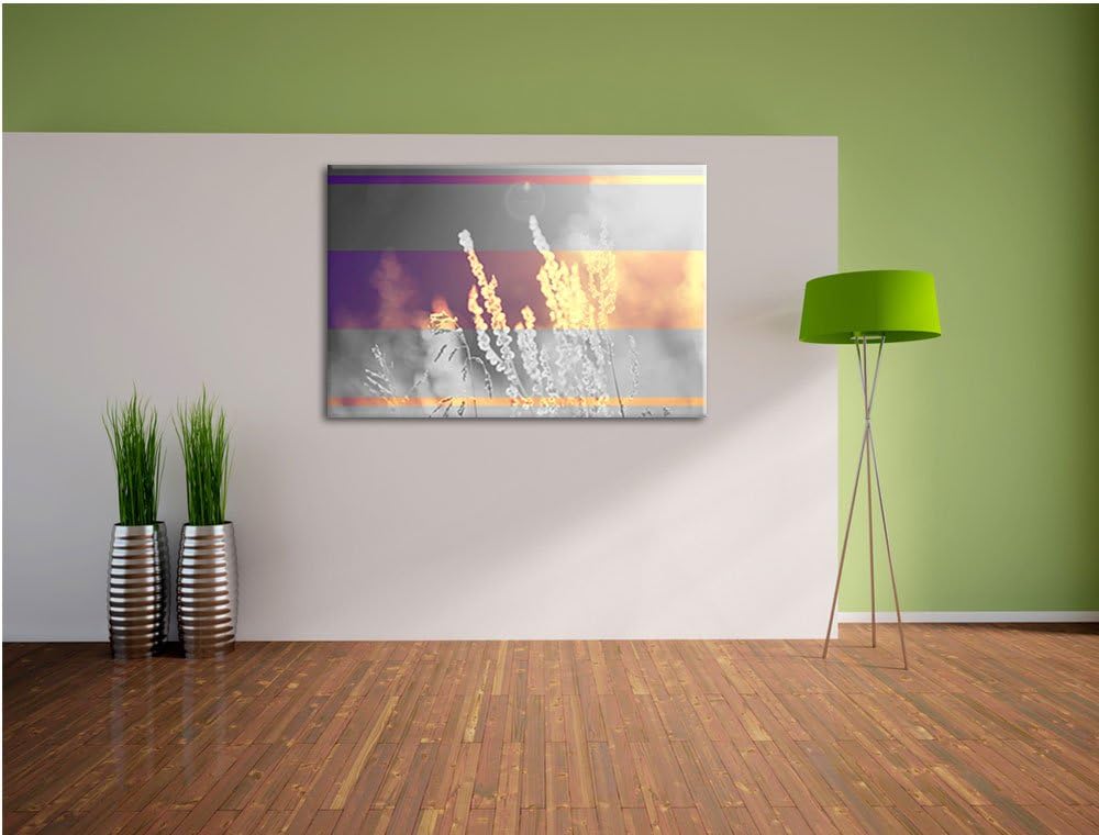Gräser bei abendlicher Dämmerung schwarz/weiss Format: 100x70 auf Leinwand, XXL riesige Bilder ferti