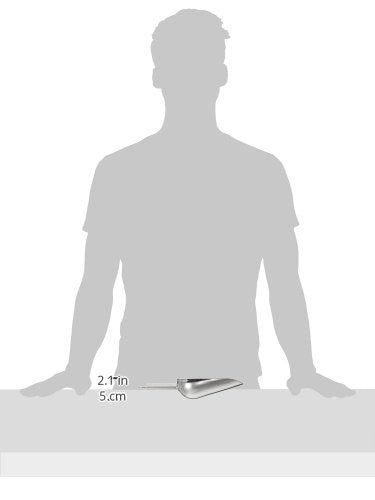 neoLab E-1818 Schaufel aus Edelstahl, 245 mm lang, 250 mL