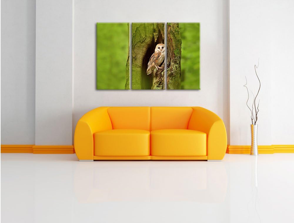 Pixxprint Schleiereule in der Baumhöhle 3-Teiler Leinwandbild 120x80 Bild auf Leinwand