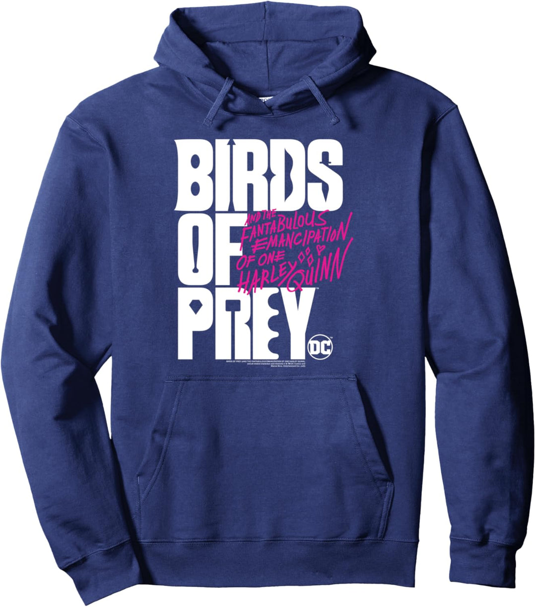 Birds of Prey Large Logo Pullover Hoodie