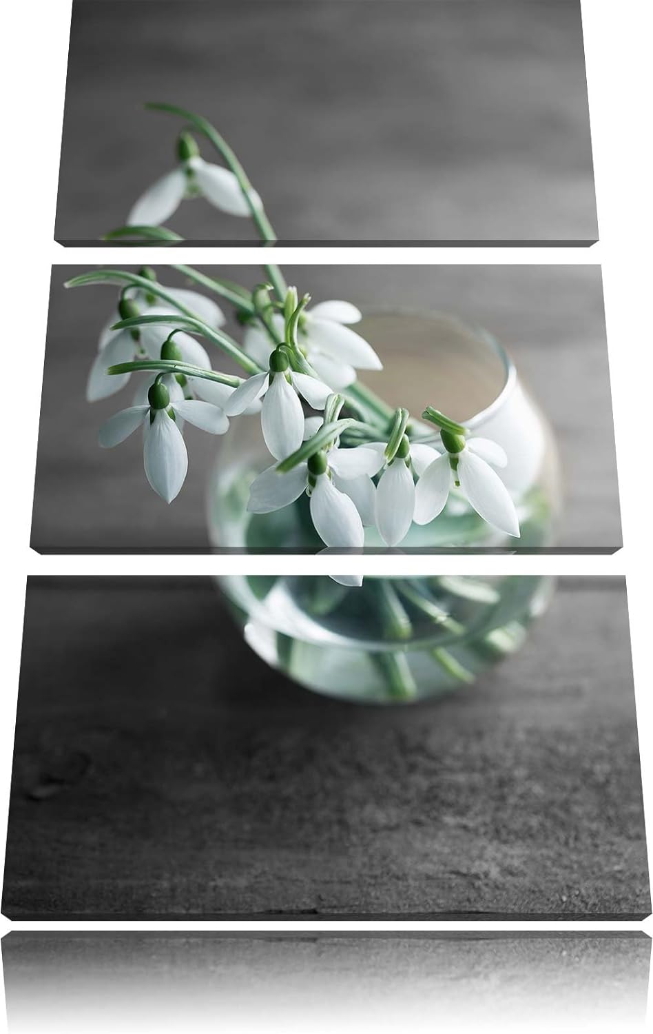 Pixxprint Schneeglöckchen in der Vase als Leinwandbild/Grösse: 3 Teilig (120x80) cm/Wandbild/Kunstdr