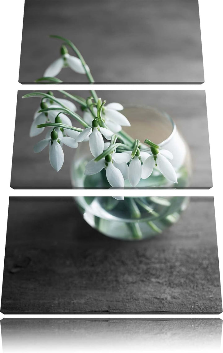 Pixxprint Schneeglöckchen in der Vase als Leinwandbild/Grösse: 3 Teilig (120x80) cm/Wandbild/Kunstdr