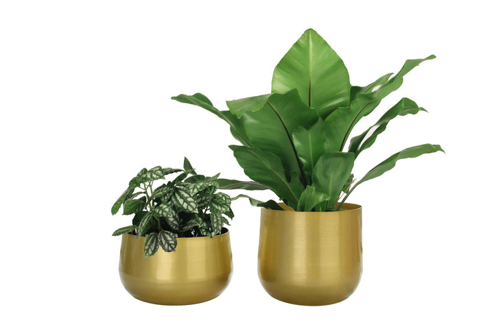 Vixdonos Messingfarbene Metall-Blumentöpfe für den Garten, 19,5 cm (7,1/6,3 Zoll), rund, für Sukkule