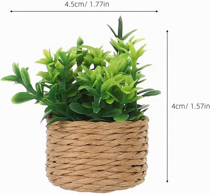 Supvox 4Pcs Miniatur Pflanzen Puppenhaus Deko Künstliche Bonsai