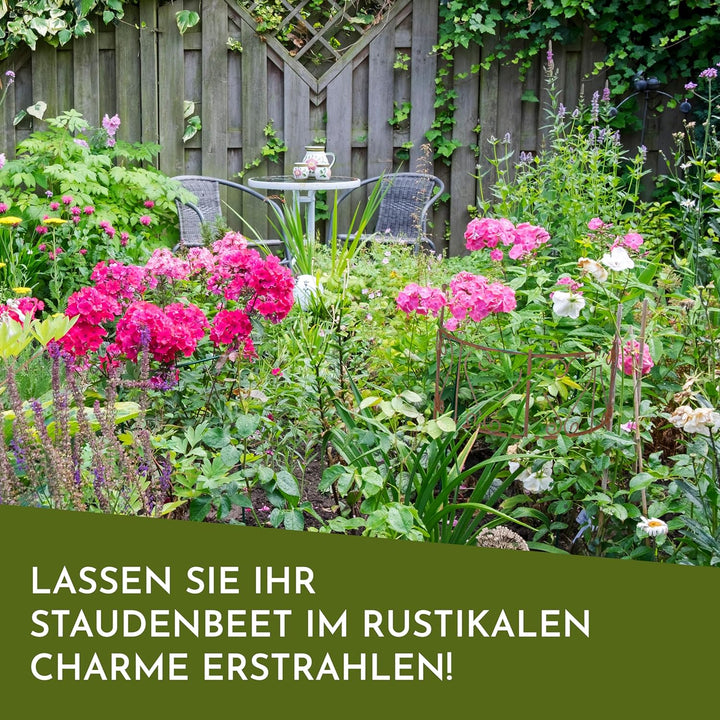 Nordstern® Staudenhalter Pflanzenstütze Rost 2er Pack - Gross 45 x 50 cm Rostbraun - Gross, Rostbrau