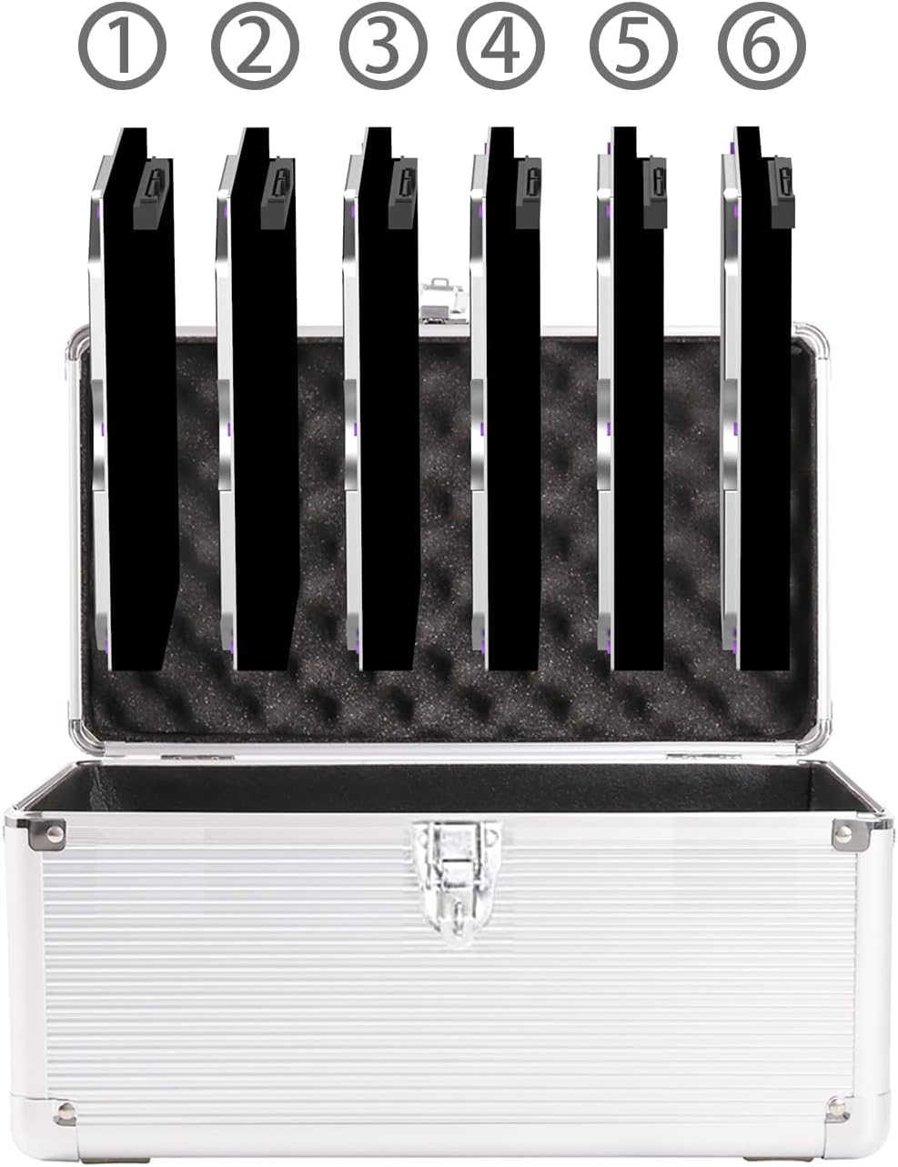GLOTRENDS Festplattenschutzbox, Interner 3,5" Festplattenkoffer mit 6 Festplattenschächten (6PCS), p