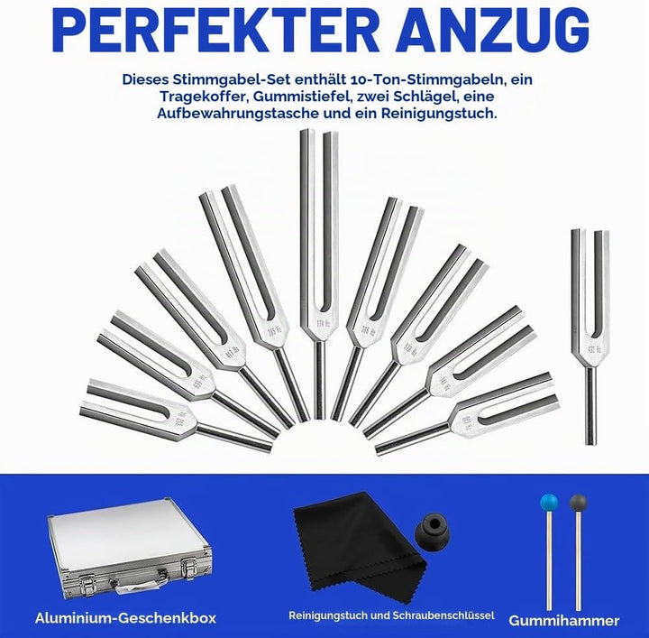 Stimmgabel,Stimmgabel Neurologie, 10er Set mit Sockel + 2 Silikonhämmer und Reinigungstücher, Ideale