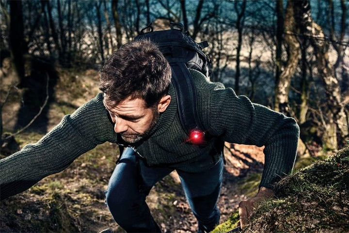 Orbiloc, Sicherheitslicht für Hundehalsbänder rot, rot
