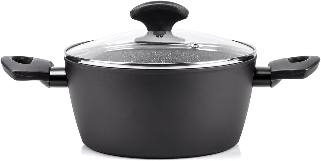 Moneta Batterie 5 Stück auch Induktion