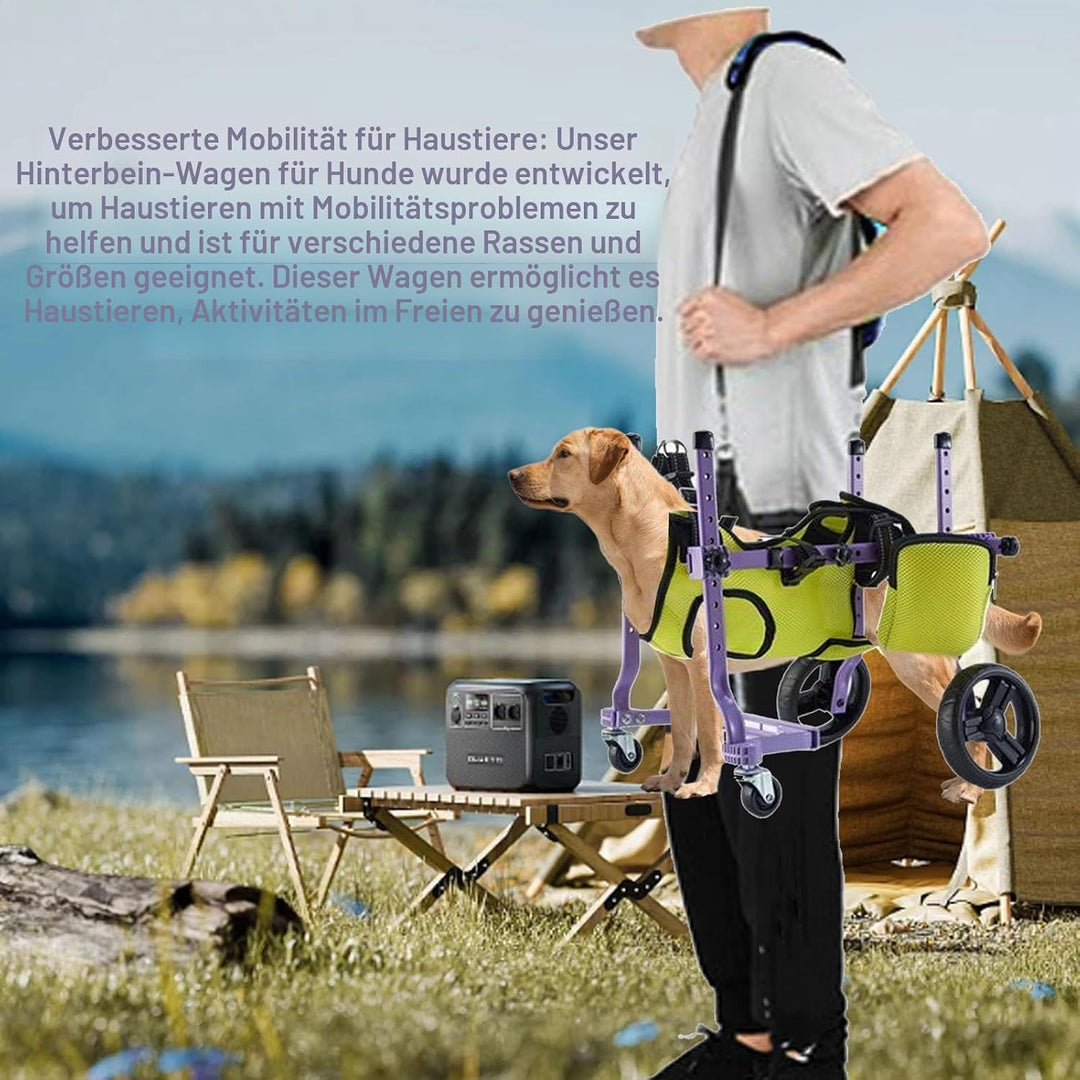 Hunderollstuhl für die Hinterbeine, Hunderollstuhlwagen, Dehnbarer Integrierter 4-Rad-Laufwagen für