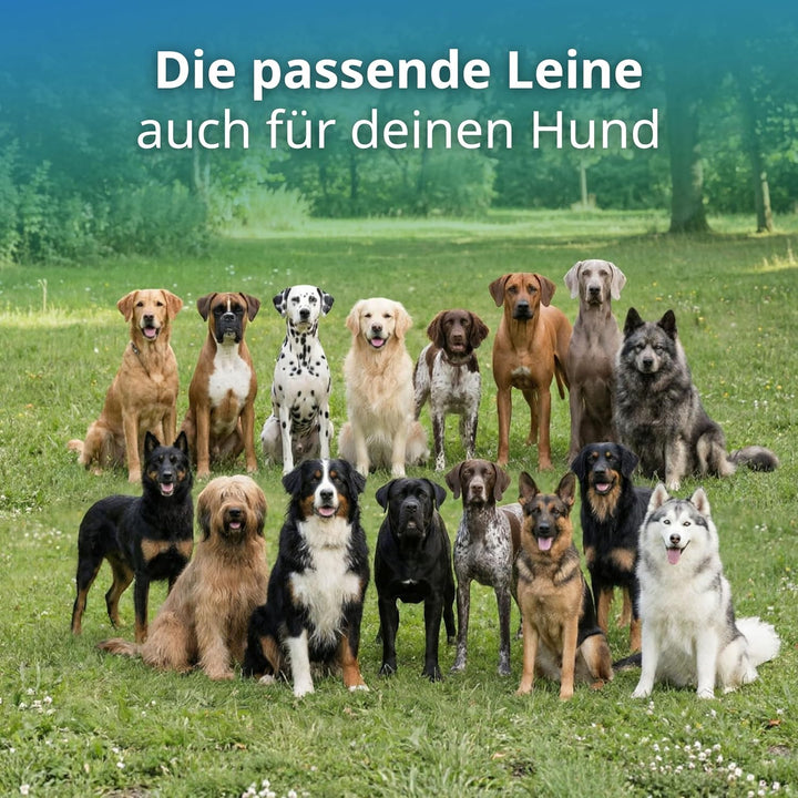 Geflochtene Hundeleine für mittelgrosse und grosse Hunde bis 60 kg | Kurze Führleine | 1,20 m lang |