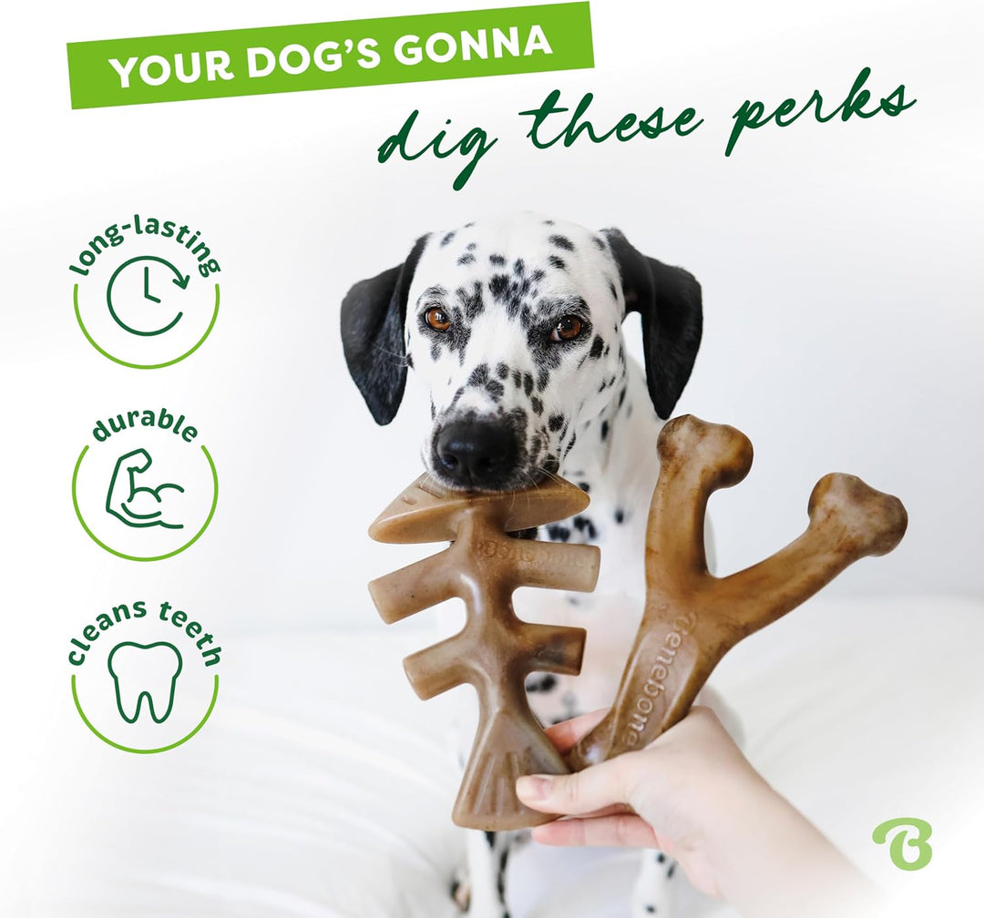 Benebone 2-Pack Indestructible Fishbone/Wishbone Dog Chew Toys, Long Lasting Tough Boredom Breaker f