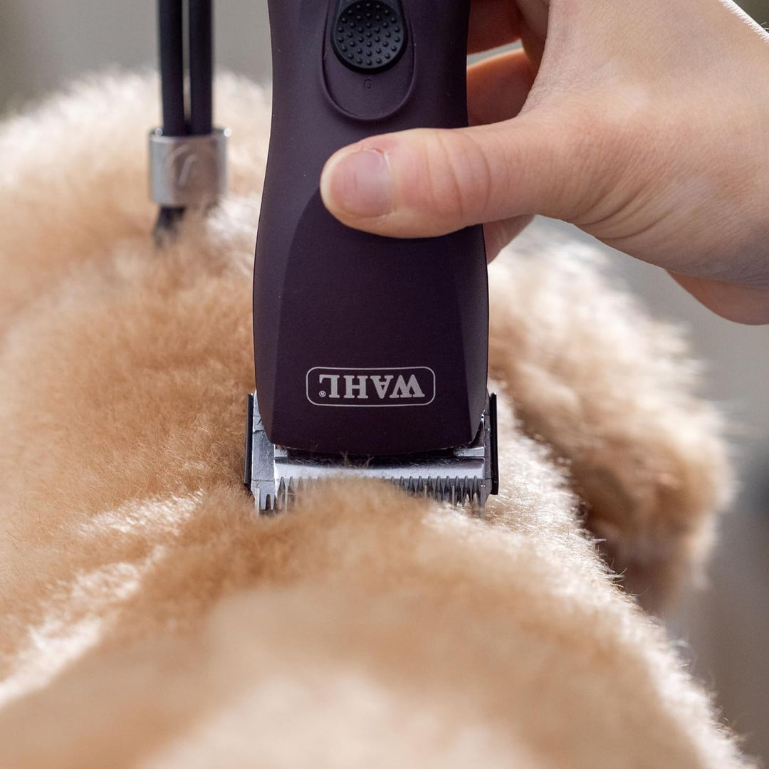Agrarzone Edition Wahl KM Supera Hundeschermaschine - Aufsteckkamm Set & 2x Akku - Leistungsstarke S