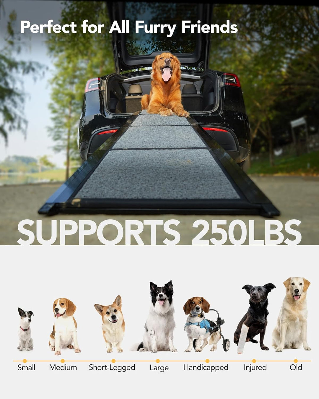 PetThem Hunderampe für Auto, 160 cm lang & 43,2 cm breit, tragbare Hunderampe für grosse Hunde mit R