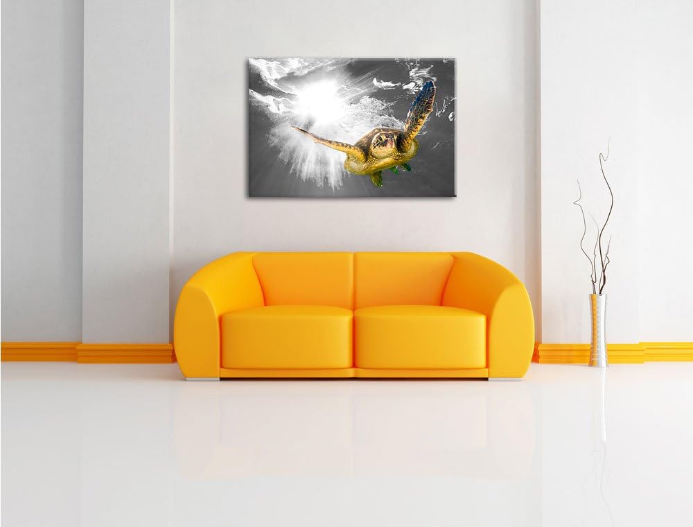 Pixxprint Grüne Meeresschildkröte als Leinwandbild | Grösse: 100x70 cm | Wandbild| Kunstdruck | fert