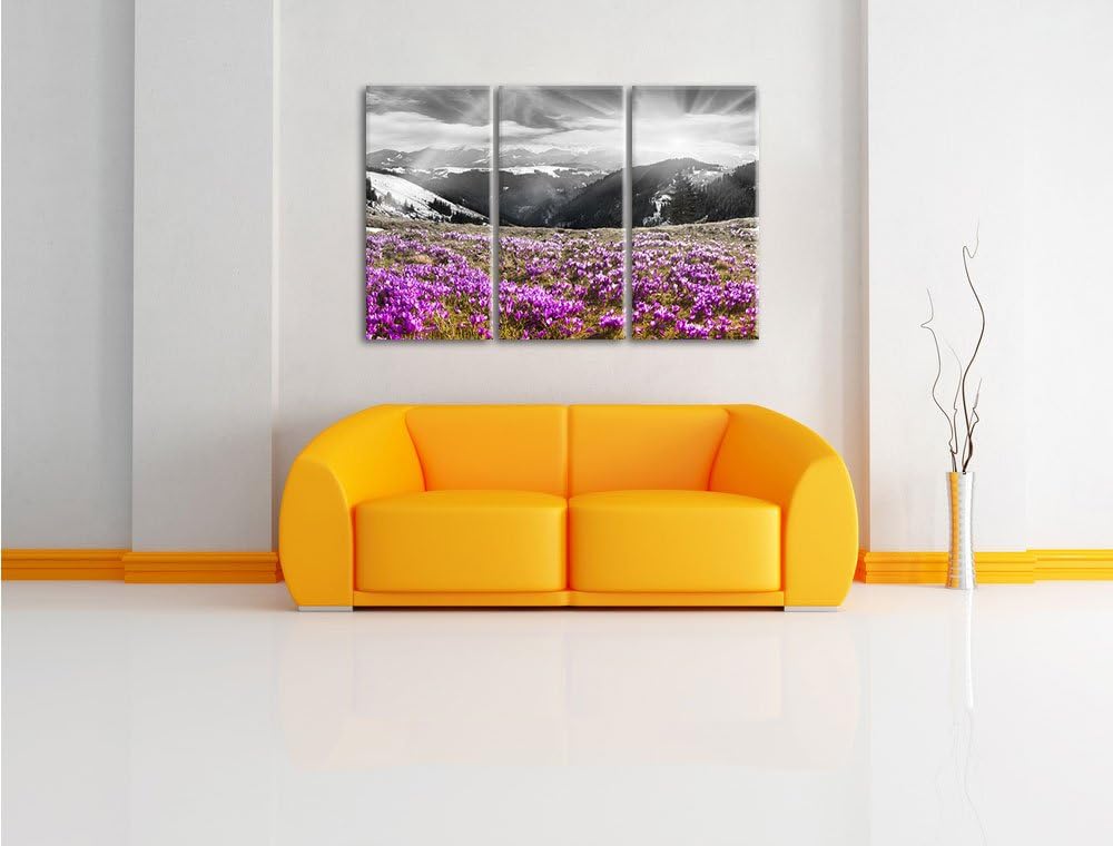 Pixxprint Berglandschaft Regenbogen als Leinwandbild/Grösse: 3 Teilig (120x80) cm/Wandbild/Kunstdruc