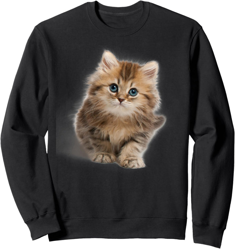 Entzückende und flauschige Miezekatze mit blauen Augen Sweatshirt