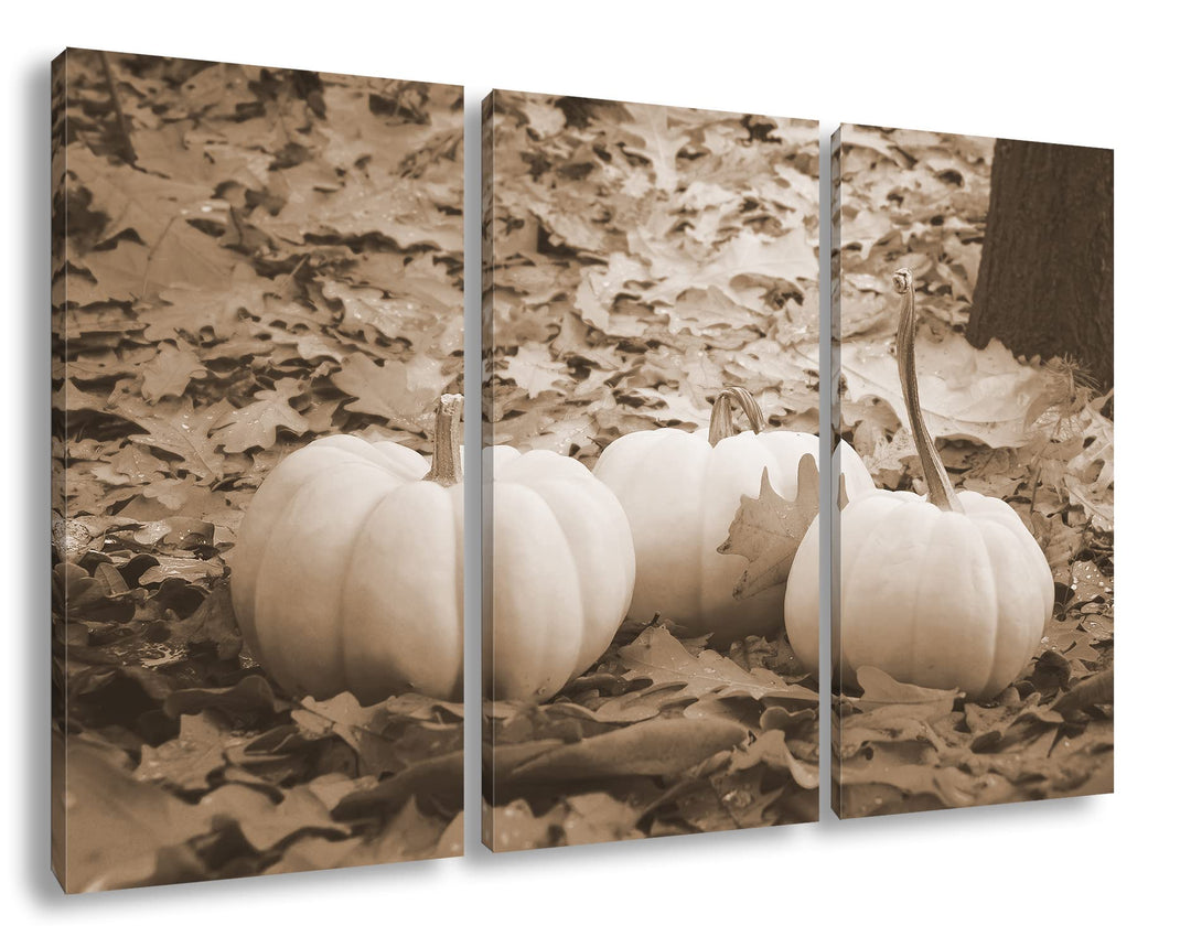 deyoli Herbstliche Kürbise Effekt: Sepia Format: 3Teilig als Leinwandbild, Motiv fertig gerahmt auf